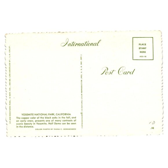 Scenic Beauty Yosemite National Park Vintage Postcard Snow Autumn Trees - Picture 2 of 2